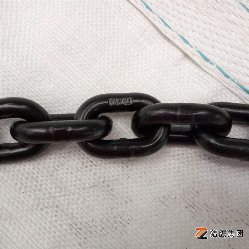 河北起重鏈條廠家有哪些？精選優(yōu)質(zhì)供應(yīng)商推薦